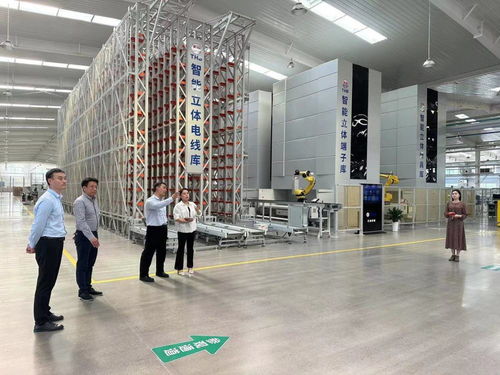 鶴壁經濟技術開發(fā)區(qū)開展“一起益企”中小企業(yè)信息技術咨詢服務活動