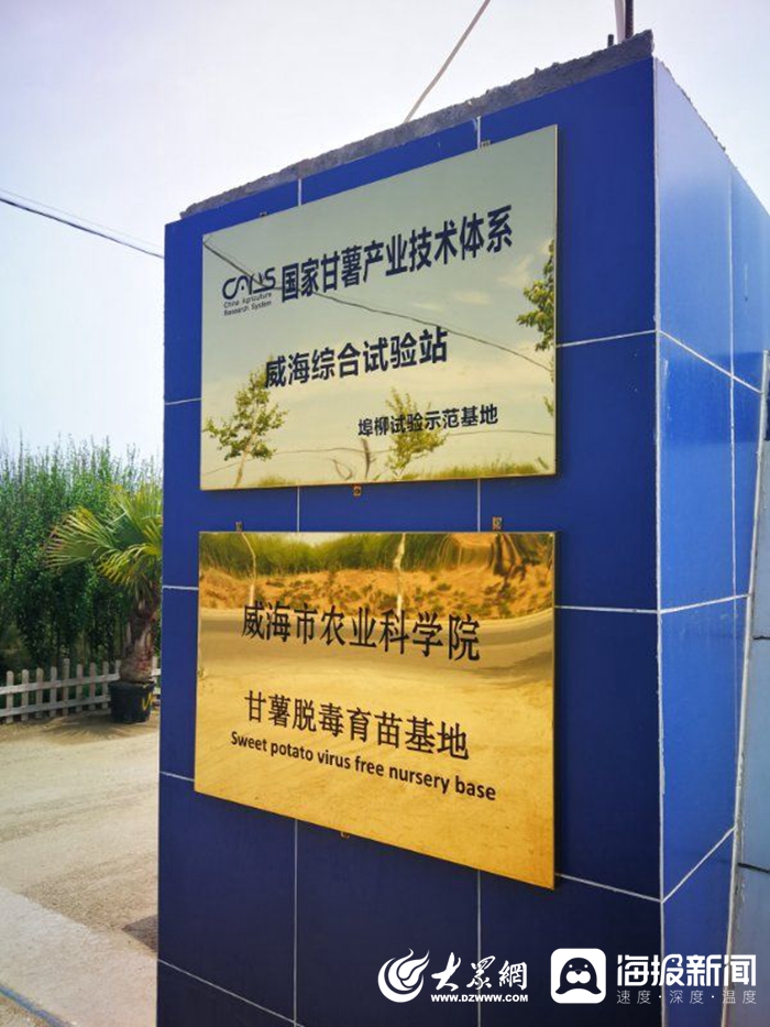 信息化賦能扶貧攻堅，激活鄉村振興新引擎